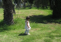 IMG_0009.JPG