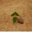 bind_free074.jpg